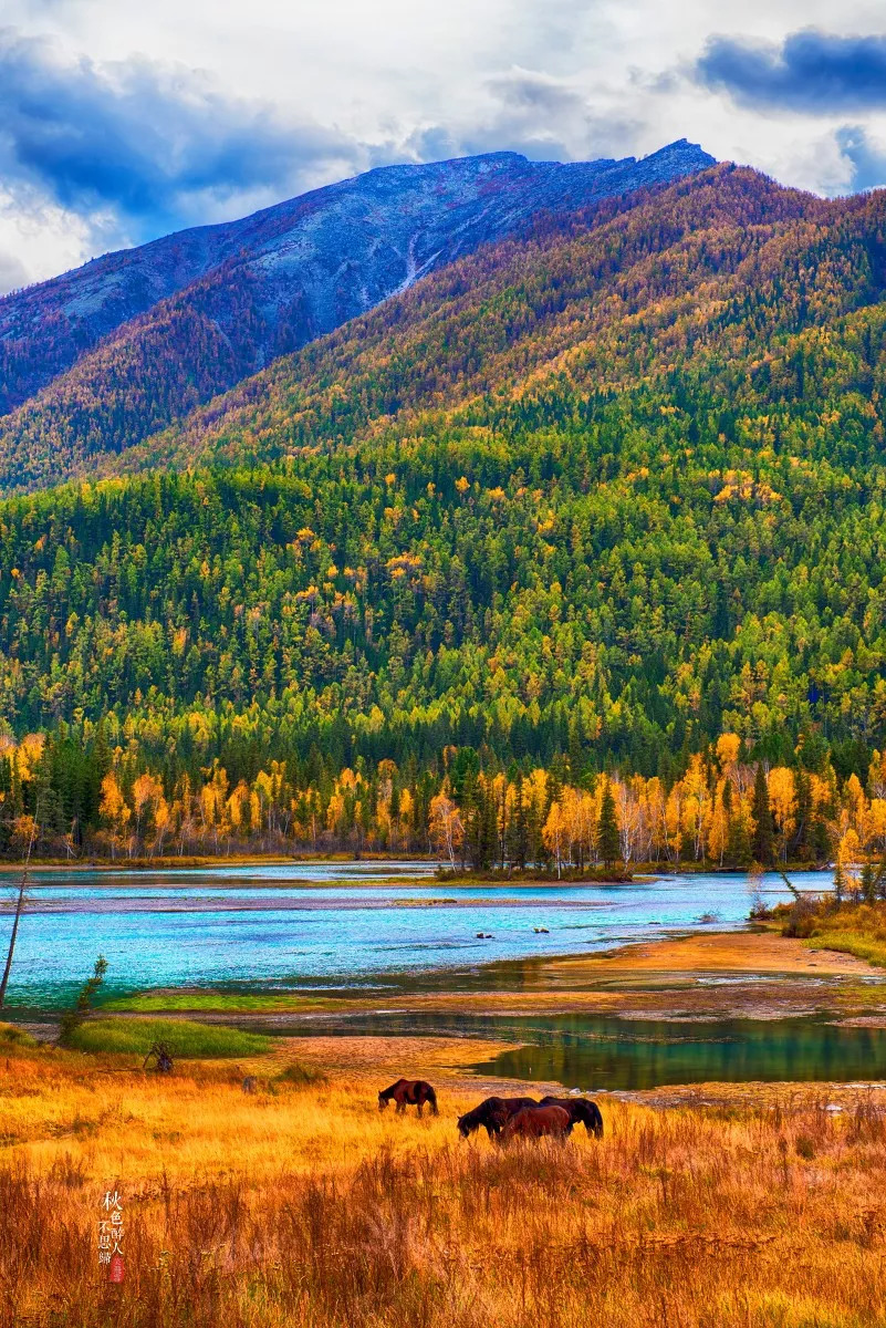 新疆地理、历史与文化概览