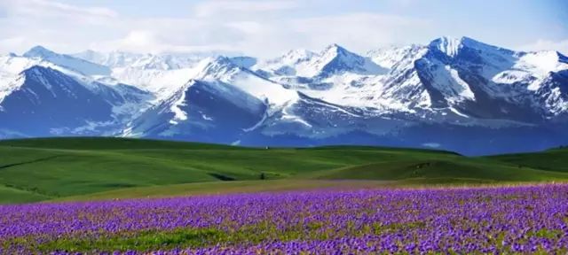 探寻新疆,西域明珠的美丽奥秘